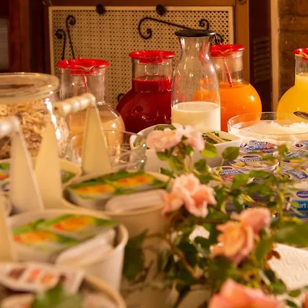 Minerva فندق أسيسي