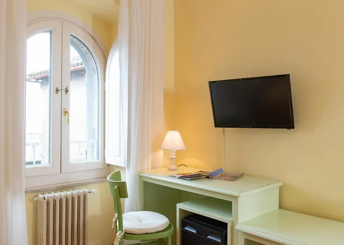 ミネルバ アッシジ