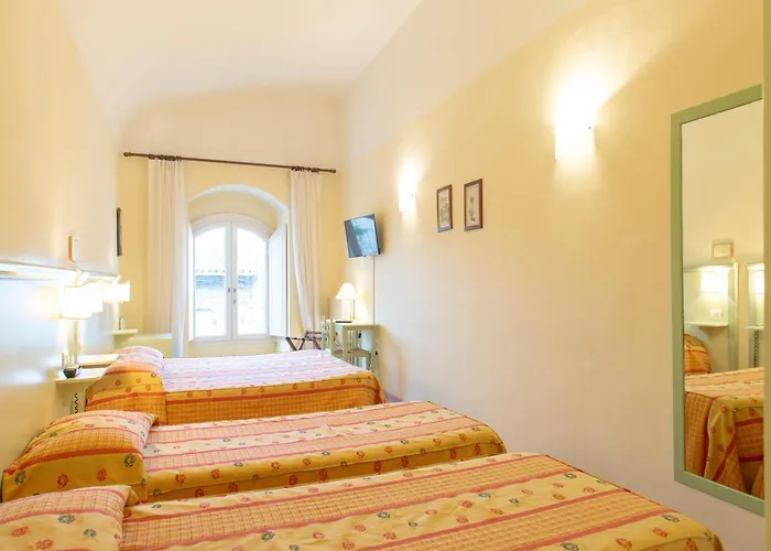 ミネルバ アッシジ